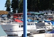 Big Cove Pontoon Boats