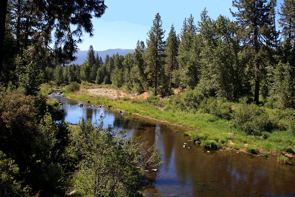 Homes For Sale in Portola, CA